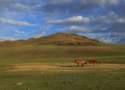 Mongolia - landscape