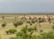 Botswana - krajobraz