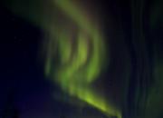 Zorza polarna (Aurora borealis)