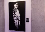 Exhibition „The Art of Banksy. Without Limits” Warsaw 21'