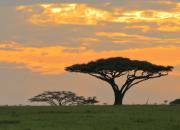 Tanzania - LANDSCAPE