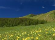 Mongolia - krajobraz