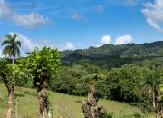 Dominican Republic  LANDSCAPE