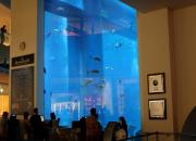 Dubai aquarium