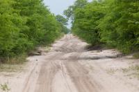 Botswana - landscape