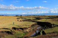 ETHIOPIA-landscape