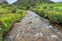 ECUADOR LANDSCAPE