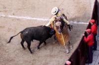 Bullfighting