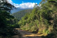 Dominican Republic  LANDSCAPE