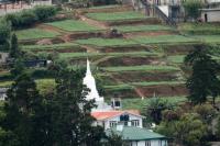 Sri Lanka Landscape