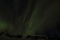 Northern Lights (Aurora borealis)