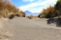 Landscape North Island