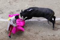 Bullfighting