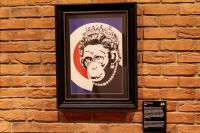 Exhibition „The Art of Banksy. Without Limits” Warsaw 21'