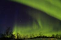 Northern Lights (Aurora borealis)