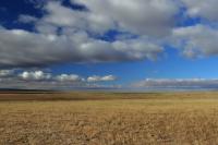 Gobi Desert