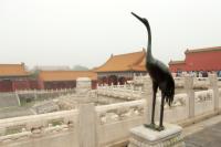 The Forbidden city