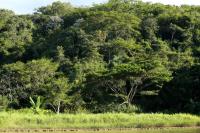 Costa Rica landscape