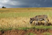 ETHIOPIA-landscape