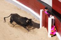 Bullfighting