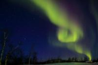 Northern Lights (Aurora borealis)