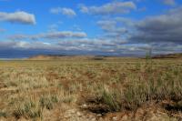 Gobi Desert