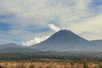 Landscape North Island