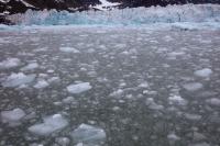 Spitsbergen landscape (July)