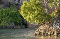 Dominican Republic  LANDSCAPE