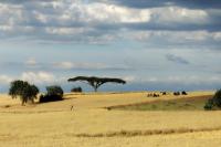 ETHIOPIA-landscape