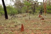 Australia - landscape