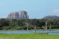 Sri Lanka Landscape