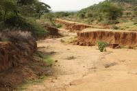 Tanzania - LANDSCAPE