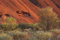 Uluru