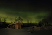 Northern Lights (Aurora borealis)