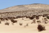 Fuerteventura  