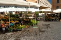 Rome - Campo de' Fiori