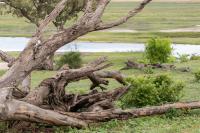 Botswana - landscape