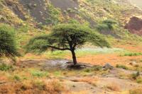 ETHIOPIA-landscape