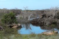 Sri Lanka Landscape