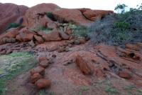 Uluru