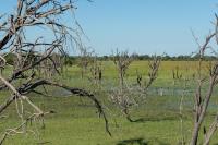 Botswana - landscape