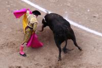 Bullfighting