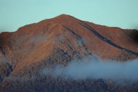 Landscape South Island