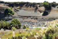 Landscape North Island