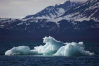 Spitsbergen landscape (July)