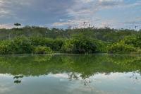 ECUADOR LANDSCAPE