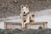 Longyearbyen