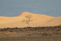 Tanzania - LANDSCAPE