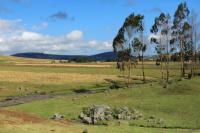 ETHIOPIA-landscape